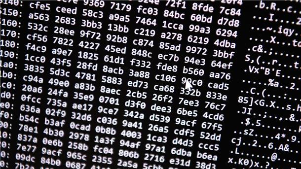 Hackerangriff auf Internetseiten im Nordosten abgewehrt Von wo der Angriff kommt, ist bislang nicht geklärt (Symbolbild).