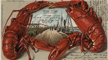 Vor 150 Jahren wurde die erste Postkarte verschickt. Die Postkartenmoden haben immer wieder gewechselt.
