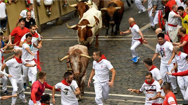 Dutzende Verletzte bei Stierhatzen in Spanien Vor den Bullen herzulaufen, ohne auf die Hörner genommen zu werden oder unter die Hufe zu geraten - das ist das Ziel Läufer bei den Stierhatzen im nordspanischen Pamplona.