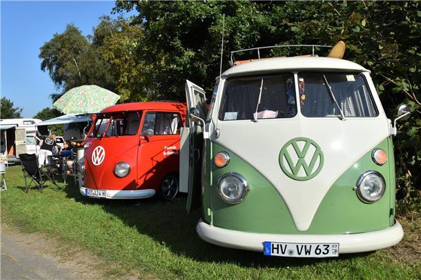 VW-Busse ohne Ende. Rund 300 der beliebten und nostalgischen T-Modelle rollten a...