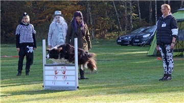 Während die Führerin (rechts) von ihrer festgelegten Position aus die Kommandos gibt, beurteilt das Richterteam, wie der Hund sich macht.