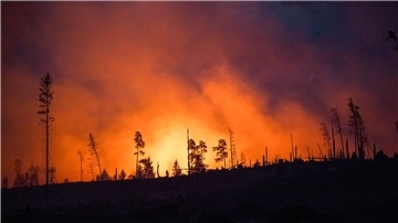 Erde am Limit – Klimakrise kostet Millionen von Leben Waldbrände fachen mit ihren Emissionen die Erderwärmung zusätzlich an. (Illustraiton)