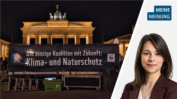Beim Klimaschutz muss gelten: Jetzt erst recht!