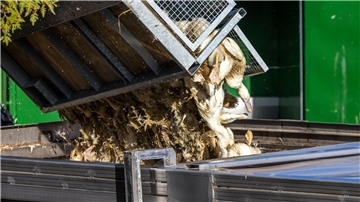 Vogelgrippe grassiert – 400.000 Tiere in Deutschland gekeult Wegen der Geflügelpest müssen in Deutschland derzeit viele Tausend Hühner, Gänse, Enten und Puten gekeult werden.
