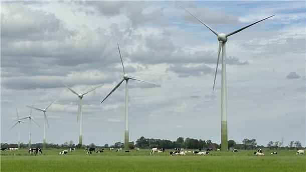 Bild von sechs Windrädern im Windpark Butterburg