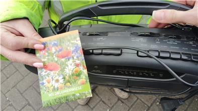 Wer auf dem Recyclinghof defekte Elektrogeräte abgibt, erhält Wildblumensaat. 