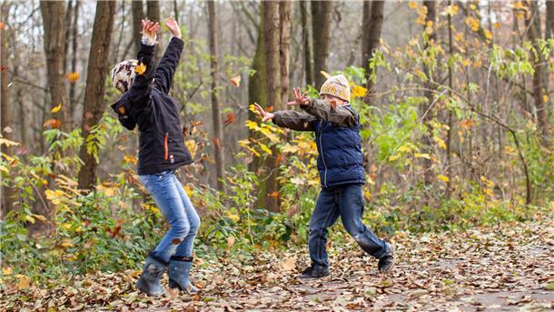 Wer braucht schon Computerspiele, wenn es sich draußen in der Natur so schön mit Herbstlaub spielen lässt.