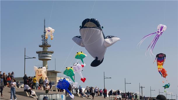 Beim Drachenfestival steigen kreative Flugobjekte in den Himmel. Wer sagt denn, eine Krake, Rochen und sogar ein Wal können nicht fliegen? Beim Drachenfestival in Bremerhaven funktioniert das.