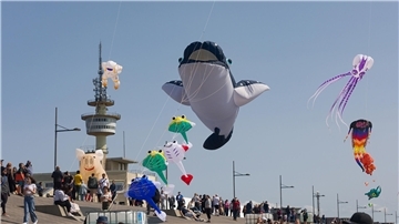 Wer sagt denn, eine Krake, Rochen und sogar ein Wal können nicht fliegen? Beim Drachenfestival in Bremerhaven funktioniert das.