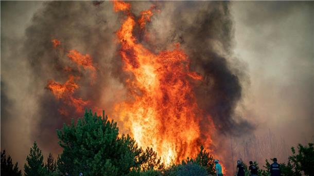 Nordmazedonien kämpft gegen Waldbrände Wie oft im Sommer bei Extremhitze wüten wieder Waldbrände in Nordmazedonien. (Archivbild)