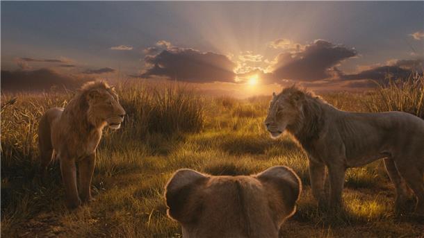 Neuer Disney-Film: Wie Mufasa zum König der Löwen wurde Wie wurde Mufasa zum König der Löwen? Diese Geschichte erzählt der neue Film.