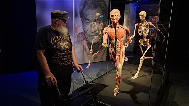 Körperspender Detlef Bieritz aus Köhlen in der „Körperwelten“-Ausstellung in Bremen. 