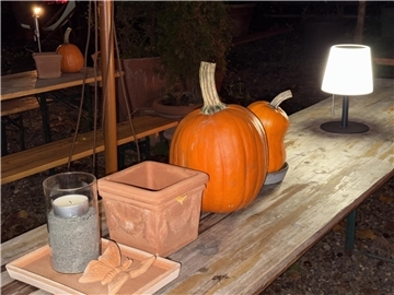 Wilstedt wird zur einer mystischen Bühne der Grusel-Gestalten: "Mystic Musical m...