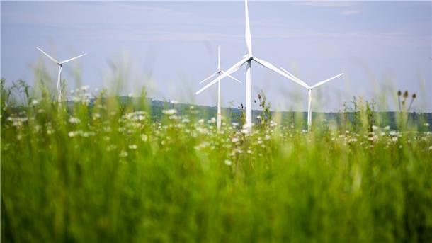 Windräder drehen sich auf einem Feld: Der Ausbau der Windenergie hat allerdings einen Haken, sagt Rotenburgs Landrat Marco Prietz.