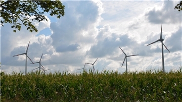 Windräder in Stollhamm-Ahndeich: Hier stören sie eher nicht den Blick über das weite Land.