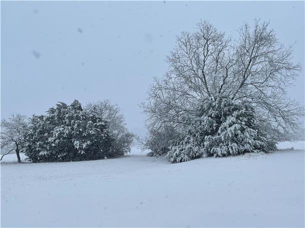 Grußbrücke: Neun Stunden Fahrt halten Oma nicht von Besuchen ab Wintersturm Februar 2021 in Central Texas.