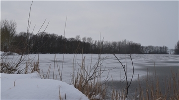 Winterwunderland: Der Seenpark 1 liegt zugefroren da. Bisher erfreuen sich vor allem Hunde, ihre Halter und Spaziergänger an der winterlichen Landschaft, denn das Eislaufen ist auf dem Gewässer noch nicht möglich.