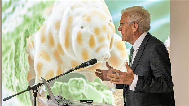 Winzig und doch bärenstark: Die neu entdeckte Bärtierchenart „Ramazzottius kretschmanni“.