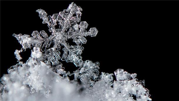 Winzige Wasserteilchen und Staubkörner spielen die entscheidenden Rollen, wenn es um die Entstehung von Schneeflocken geht. 