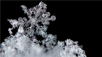 Winzige Wasserteilchen und Staubkörner spielen die entscheidenden Rollen, wenn es um die Entstehung von Schneeflocken geht. 