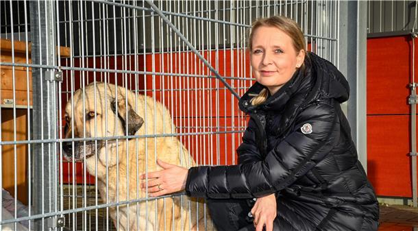 „Wir haben palettenweise Hundefutter erhalten“, sagt Tierheim-Leiterin Amelie Bensch über die Spendenbereitschaft in Corona-Zeiten. Kangal-Hündin Maxi dürfte sich darüber sehr gefreut haben.
