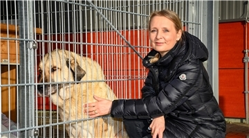 „Wir haben palettenweise Hundefutter erhalten“, sagt Tierheim-Leiterin Amelie Bensch über die Spendenbereitschaft in Corona-Zeiten. Kangal-Hündin Maxi dürfte sich darüber sehr gefreut haben.