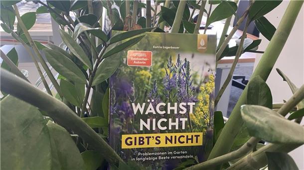 Ein Buch liegt in einer Pflanze.