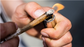 Wird der Konsum von Cannabis bald legalisiert?