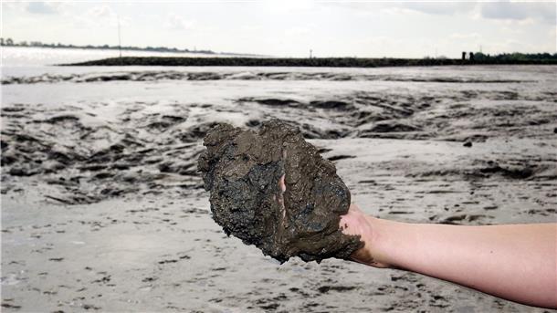 Wo einst Sand und Wasser waren, lagert nun Schlick. Ein Bild vom Nordenhamer Weserufer.