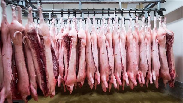 China: Antidumping-Untersuchung zu EU-Fleischimporten Wohl als Reaktion auf die von der EU angedrohten Strafzölle auf chinesische E-Autos hat China eine Anti-Dumpinguntersuchung gegen Schweinefleisch aus der EU angekündigt.