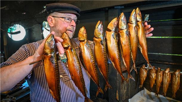 Räucherhütte im Fischereihafen: Eine Prise Show und viel Geschmack Wolfgang Hartmann holt seine fertig geräucherten Makrelen aus dem Altonaer Ofen.