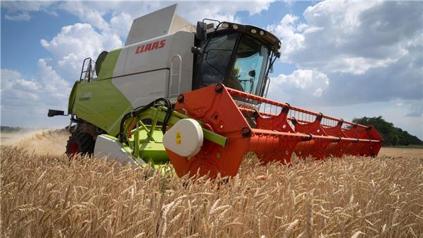 Zehn Kilometer von der Frontlinie entfernt drischt ein ukrainischer Bauer in der Region Dnipropetrowsk den Weizen auf seinem Feld.