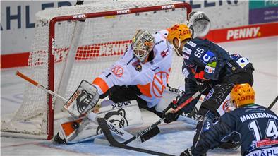 Zehn Tage nach positiven Tests und einer Teamquarantäne spielten die Grizzlys Wolfsburg mit nahezu vollem Kader das Nordderby gegen die Pinguins, nachdem zuvor nur elf Spieler frühzeitig ins Training einsteigen konnten.