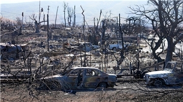 Zerstörte Häuser und Autos in Lahaina, Hawaii.