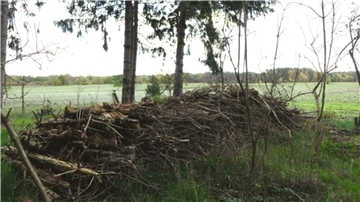 Zoff um Totholz: Weil ein Breddorfer in seinem Waldstück abgestorbene Äste aufgeschichtet hat, hat er nun Ärger mit der Unteren Naturschutzbehörde des Landkreises.