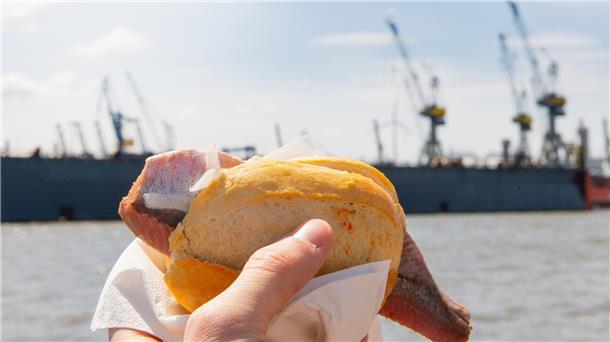 Matjes Fischbrötchen in der Hand