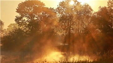 Zum typischen Spätsommer gehören die morgendlichen Nebelfelder. Ob in der kommenden Woche eine spätsommerliche Phase eintritt, ist noch nicht genau vorhersagbar.