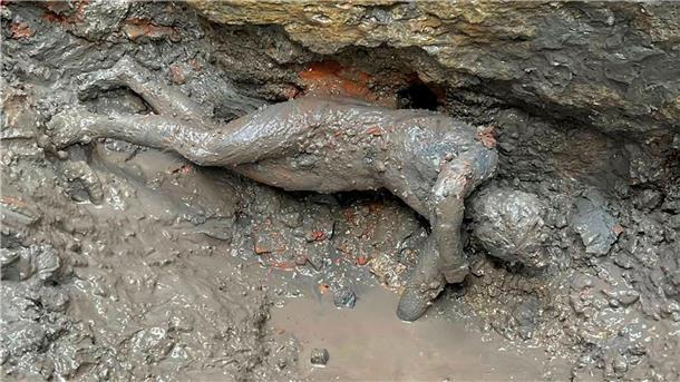 Zwei Jahrtausende lang war diese Statue durch den Schlamm geschützt.