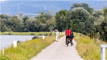 Zwei Radfahrer fahren neben dem Rhein auf einem Weg entlang.