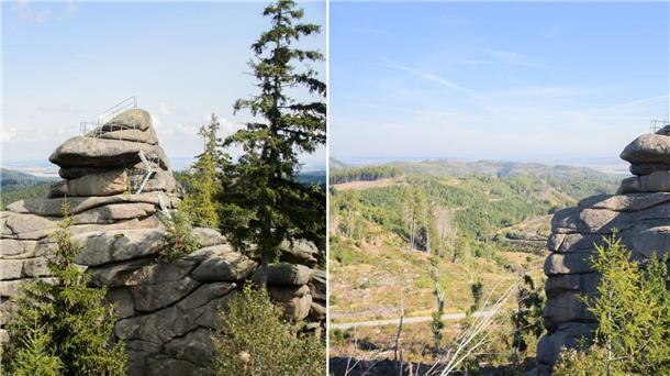 Fotos machen und Klimawandel zeigen Zwischen den Fotos liegen etwa neun Jahre: Auf dem neueren Bild rechts wird das Baumsterben im Harz deutlich.