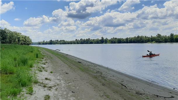 Zwischen Serbien und Kroatien fließt die Donau über weite Strecken durch Naturschutzgebiete.